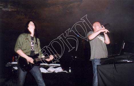 Infected Mushroom