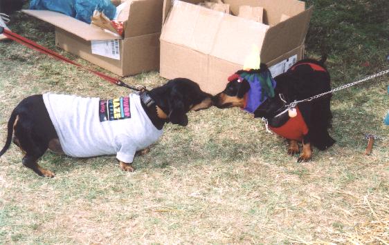 A photo from Union County Kids Fest 2004