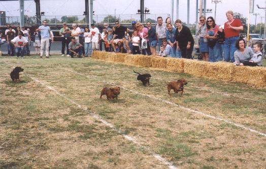A photo from Union County Kids Fest 2004