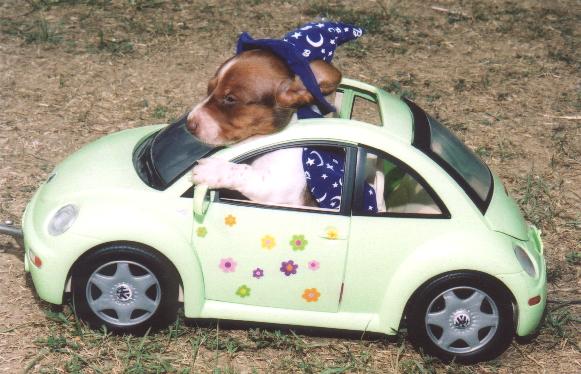 A photo from Union County Kids Fest 2004
