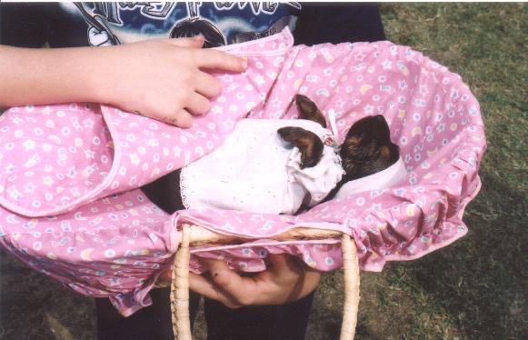 A photo from Union County Kids Fest 2004