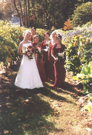 A photo from Wedding Sample 1