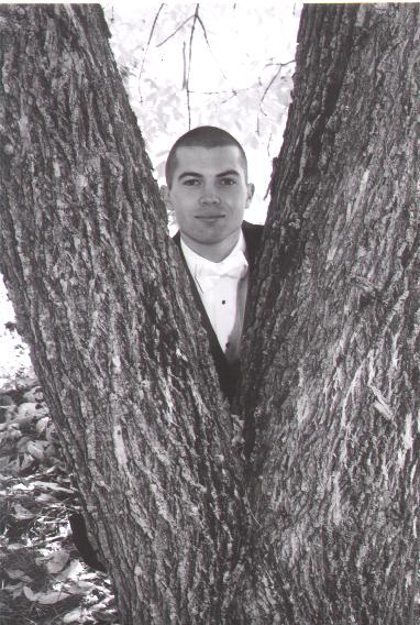 A photo from Wedding Sample 1