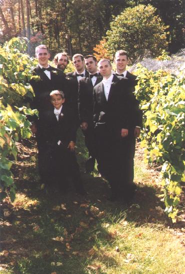 A photo from Wedding Sample 1