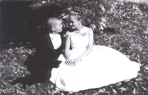 A photo from Wedding Sample 1