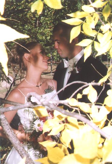 A photo from Wedding Sample 1