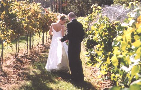 A photo from Wedding Sample 1