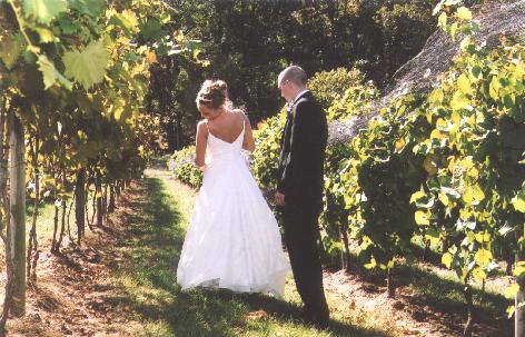 A photo from Wedding Sample 1