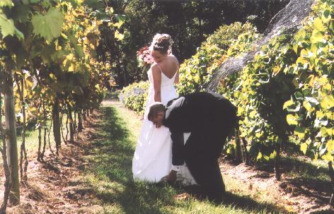 A photo from Wedding Sample 1