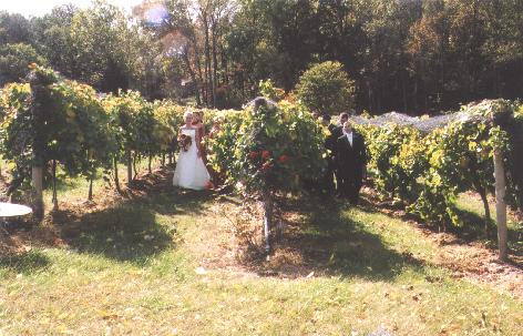 A photo from Wedding Sample 1