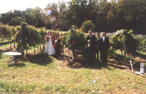 A photo from Wedding Sample 1