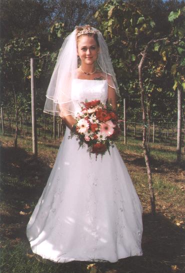 A photo from Wedding Sample 1