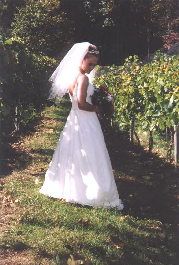 A photo from Wedding Sample 1
