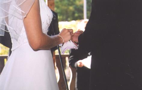 A photo from Wedding Sample 2