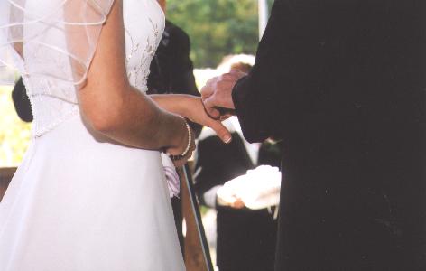 A photo from Wedding Sample 2
