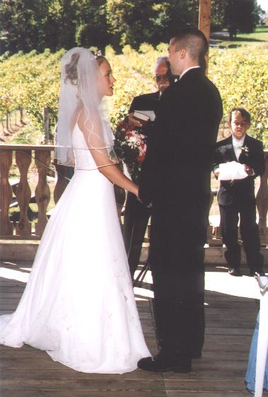A photo from Wedding Sample 2
